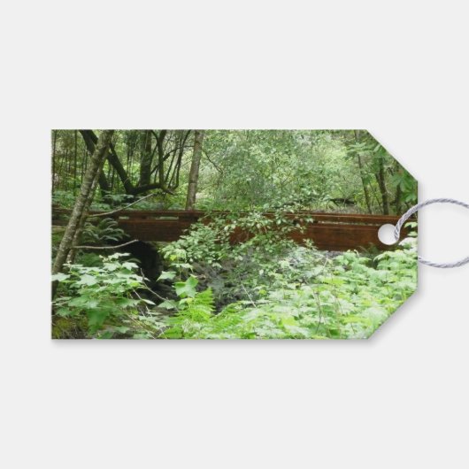 Muir Woods Brug I Cadeaulabel (Voorkant (Horizontaal))