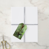 Muir Woods Brug I Cadeaulabel (Met Touw)