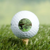 Muir Woods Brug I Golfballen (Insitu Shirt)