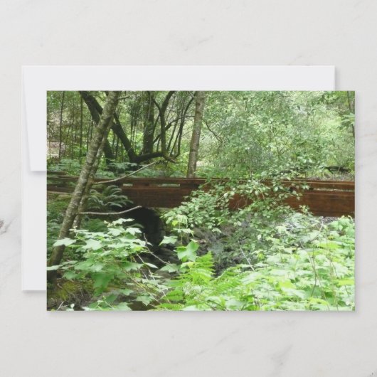 Muir Woods Brug I Kaart (Voorkant)