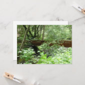 Muir Woods Brug I Kaart (Voorkant / Achterkant in situ)