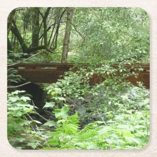 Muir Woods Brug I Kartonnen Onderzetters (Voorkant)