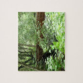 Muir Woods Brug I Legpuzzel (Verticaal)