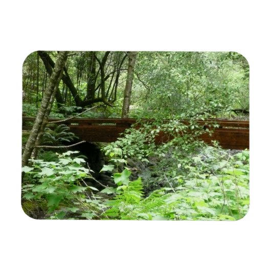 Muir Woods Brug I Magneet (Horizontaal)