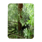 Muir Woods Brug I Magneet (Verticaal)
