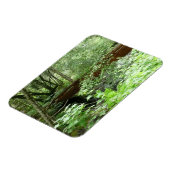 Muir Woods Brug I Magneet (Linkerzijde)