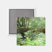Muir Woods Brug I Magneet (Voorkant / Achterkant)