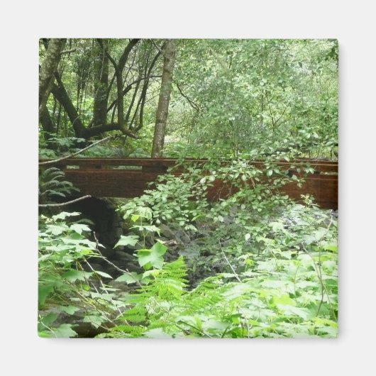 Muir Woods Brug I Magneet (Voorkant)