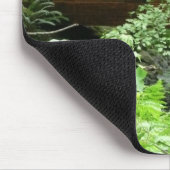 Muir Woods Brug I Muismat (Hoek)