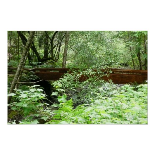 Muir Woods Brug I Poster (Voorkant)