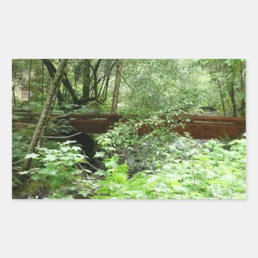 Muir Woods Brug I Rechthoekige Sticker (Voorkant)