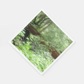 Muir Woods Brug I Servetten (Hoek)