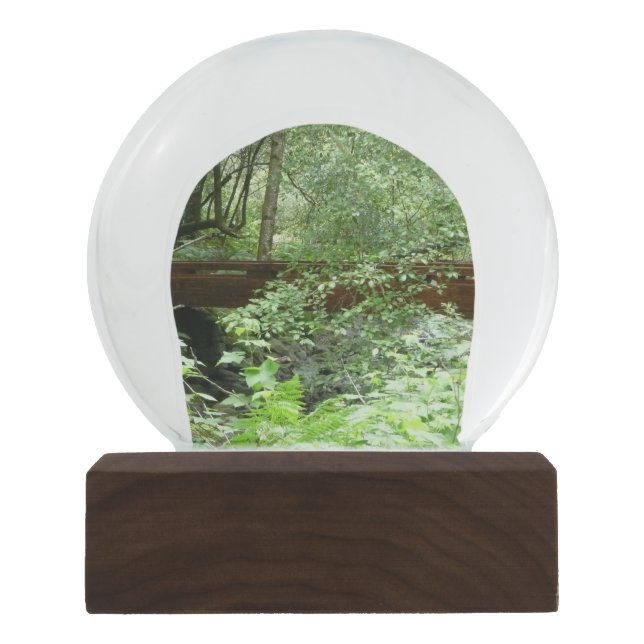 Muir Woods Brug I Sneeuwbol (Voorkant)