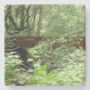 Muir Woods Brug I Stenen Onderzetter