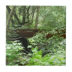 Muir Woods Brug I Tegeltje