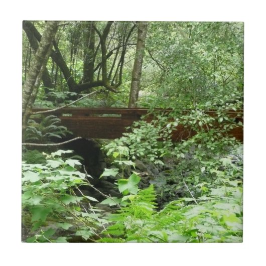 Muir Woods Brug I Tegeltje (Voorkant)