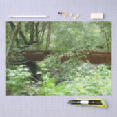 Muir Woods Brug I Tissuepapier (Craft)