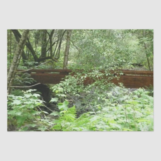 Muir Woods Brug I Tissuepapier (Voorkant)