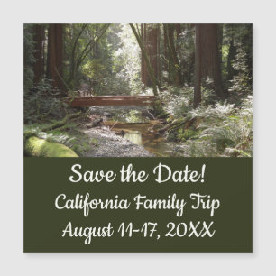 Muir Woods Brug II