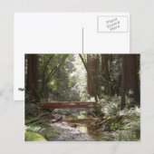 Muir Woods Brug II Briefkaart (Voorkant / Achterkant)