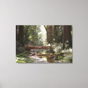 Muir Woods Brug II Canvas Afdruk