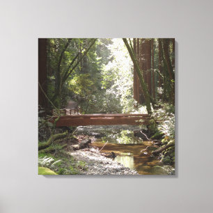 Muir Woods Brug II Canvas Afdruk