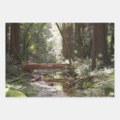 Muir Woods Brug II Inpakpapier Vel (Voorkant)