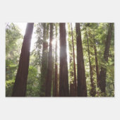 Muir Woods Brug II Inpakpapier Vel (Voorkant 3)