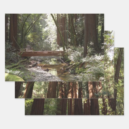 Muir Woods Brug II Inpakpapier Vel (Set)