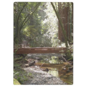Muir Woods Brug II Klembord (Achterkant)