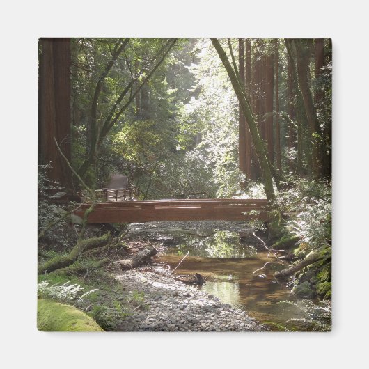 Muir Woods Brug II Magneet (Voorkant)