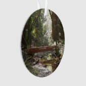 Muir Woods Brug II Ornament (voorkant)