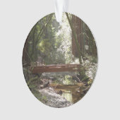 Muir Woods Brug II Ornament (voorkant)