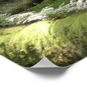 Muir Woods Brug II Poster (Hoek)