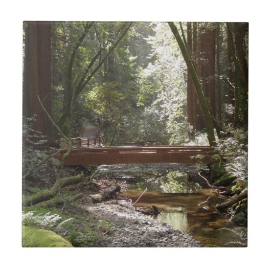 Muir Woods Brug II Tegeltje (Voorkant)