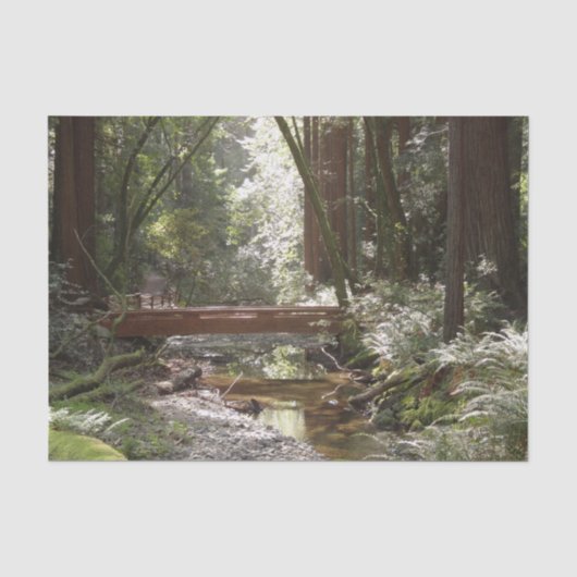 Muir Woods Brug II Tissuepapier (Voorkant)
