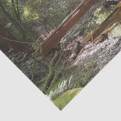 Muir Woods Brug II Tissuepapier (Detail)
