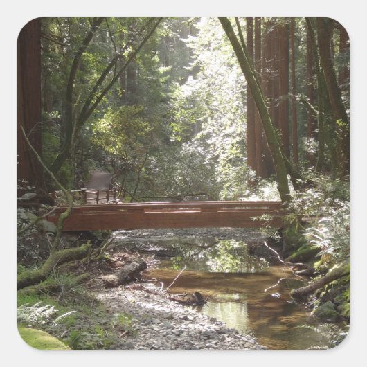 Muir Woods Brug II Vierkante Sticker (Voorkant)