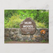 Muir Woods National Monument – California Redwood  Briefkaart (Voorkant)