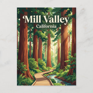 Muir Woods National Monument VS Briefkaart