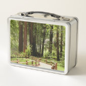 Muir Woods Pad I Natuurfotografie (Achterkant)