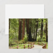 Muir Woods Pad I Natuurfotografie (Voorkant / Achterkant)
