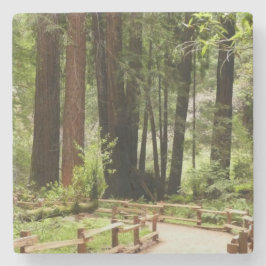 Muir Woods Pad I Natuurfotografie Stenen Onderzetter