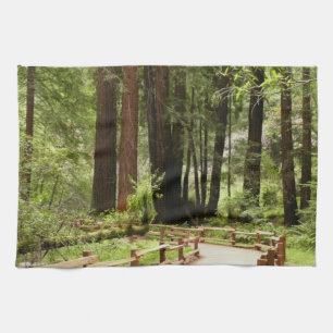 Muir Woods Pad I Natuurfotografie Theedoek