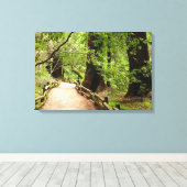 Muir Woods Path II Natuurfotografie Canvas Afdruk (Insitu (Houten vloer))