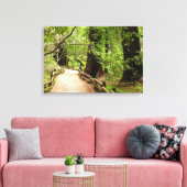 Muir Woods Path II Natuurfotografie Canvas Afdruk (Insitu (Woonkamer))