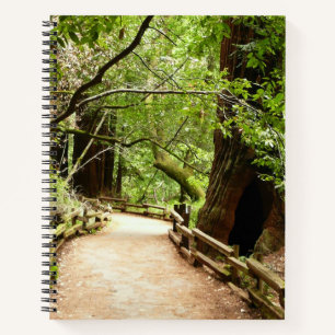Muir Woods Path II Natuurfotografie Notitieboek