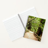 Muir Woods Path II Natuurfotografie Notitieboek (Binnen)