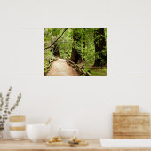 Muir Woods Path II Natuurfotografie Poster (Keuken)