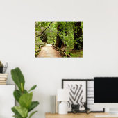 Muir Woods Path II Natuurfotografie Poster (Thuiskantoor)